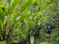 /album/fotogaleria-karibik-island-hopping-zajezd-vy-a-my/island-hopping-zajazd-00-76-jpg1/